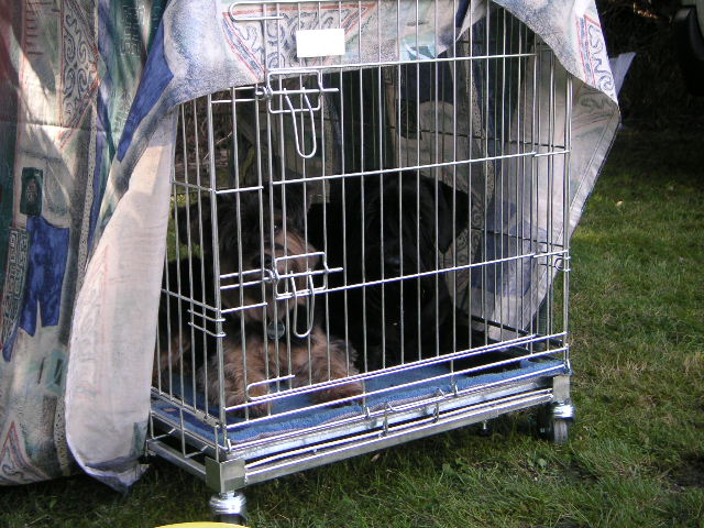 Bild 317.jpg